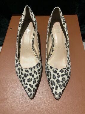 Charlies Leopard-Print Pointed Toe Heels - Beige and Black